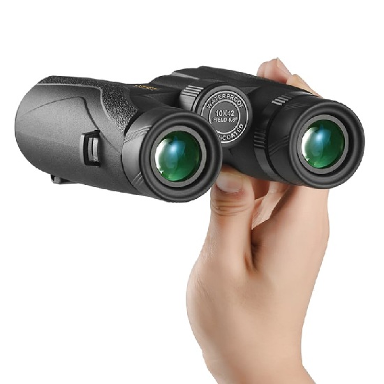 BINOCULAR COMET 10X42